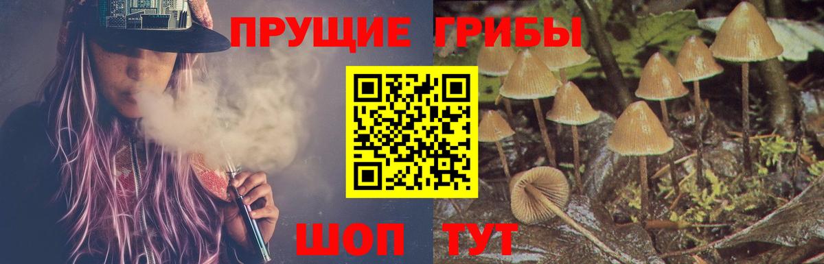 Галлюциногенные грибы мицелий Барабинск